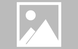 阜宁山东网络网站搭建特点（山东网站建设app）